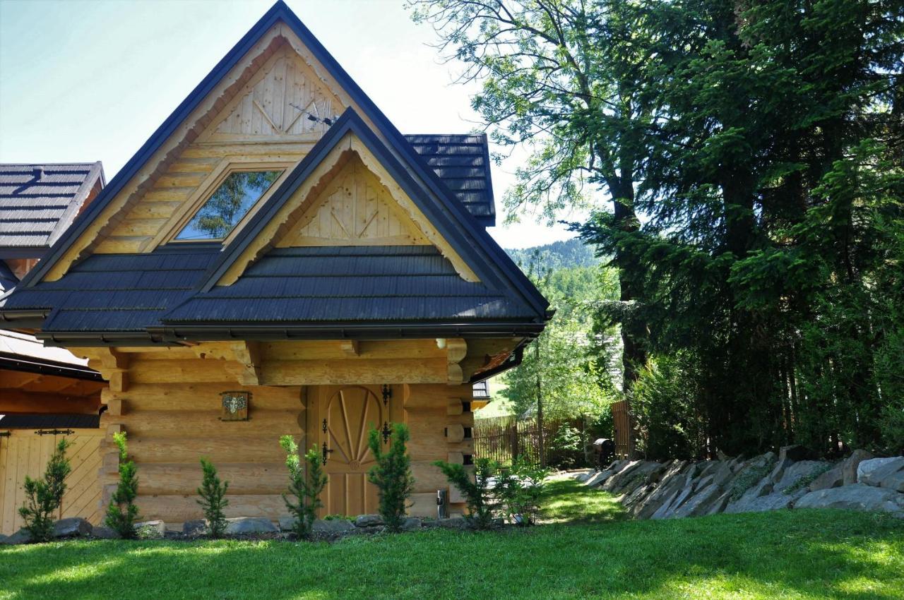 Baran, Domek Z Widokiem Na Giewont Закопане Екстериор снимка